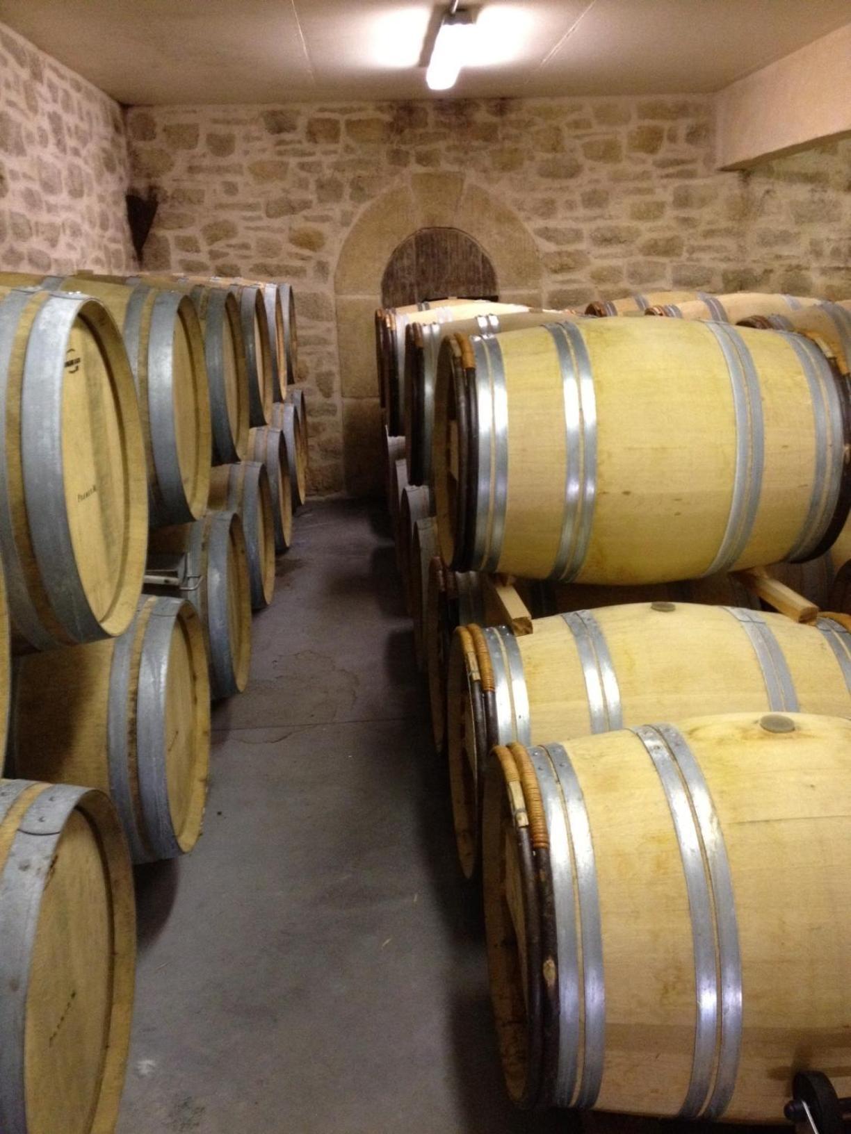 瓦卢贝尔城堡酒店 Saint-Jean-de-Fos 外观 照片