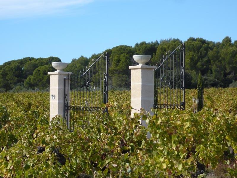 瓦卢贝尔城堡酒店 Saint-Jean-de-Fos 外观 照片